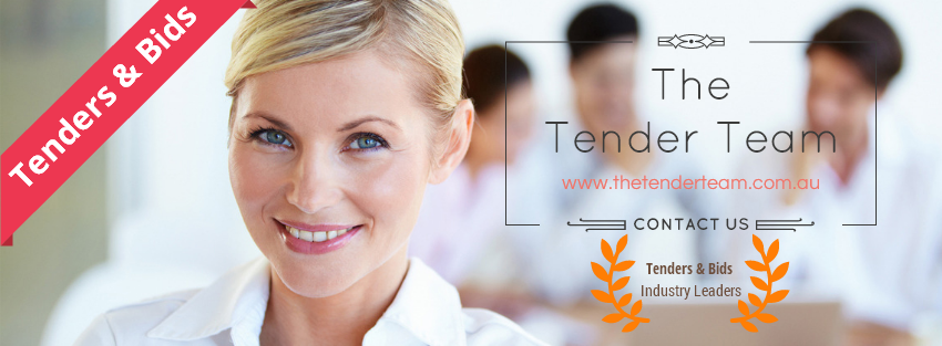 the tender team assist you in tender writing services & drives to tender success