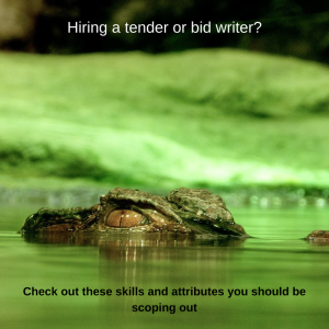 Bid and Tender Writer Recruitment Sydney