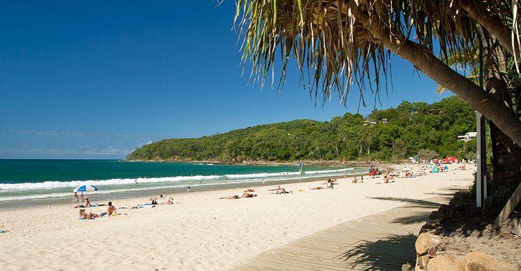 sunshine coast noosa tender bid writer help