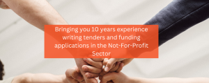 Not for Profit Charity and NDIS tender and bid writing